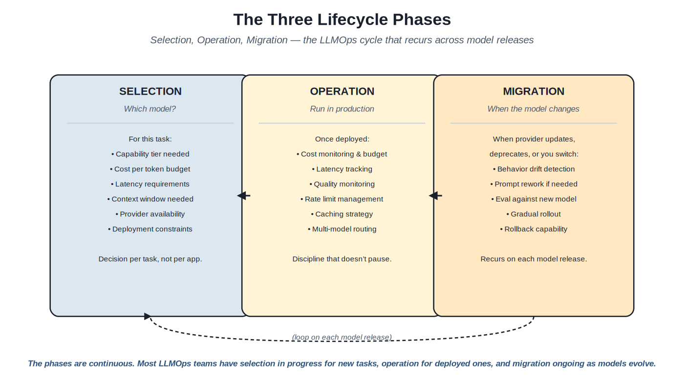 Three lifecycle phases